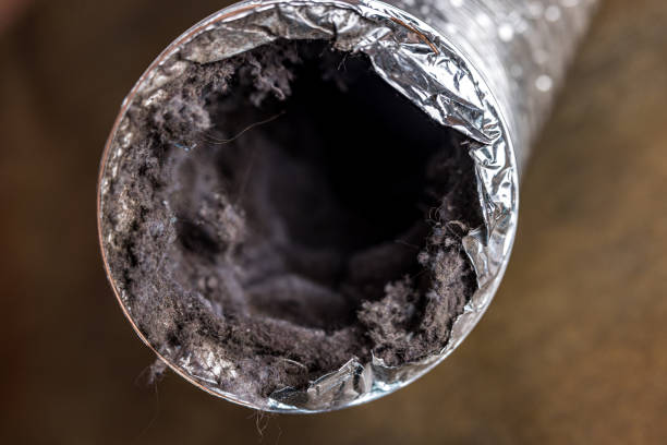 Best HVAC Maintenance and Cleaning  in Burnsville, NC